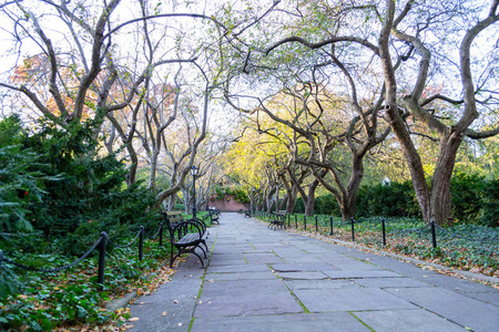 音乐学院花园是唯一一份正式的花园在中央公园