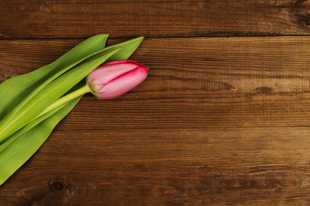 在一个木制的背景上的粉红色郁金香。母亲节那天。春天的花朵