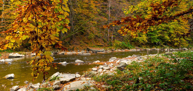 秋天森林和河和岩石