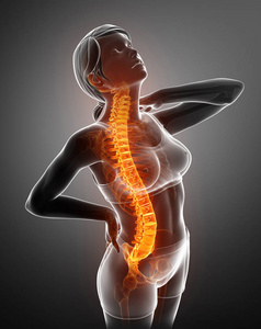 女性感觉背部疼痛图片