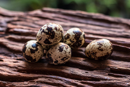 鹌鹑蛋鹌鹑蛋与绿色旧棕色木制表面上