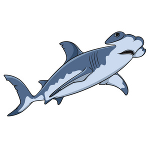 矢量彩色插画的锤头鲨.隔离的对象照片