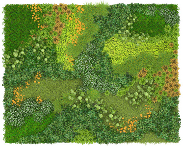 绿墙或孤立的白色背景上的花坛.顶视图.三维可视化照片