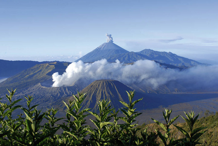 一个活跃的火山，在印度尼西亚东爪哇的婆罗