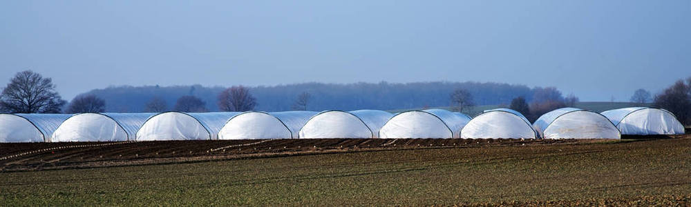 从聚乙烯塑料在农业领域的温室隧道