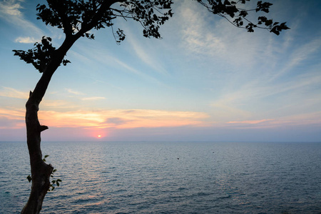 树在日落时的大海