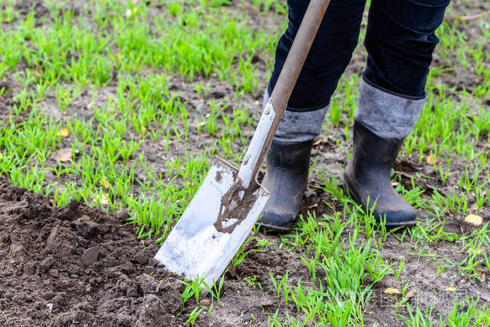 农夫在花园里挖土春天的园艺种植前的土壤