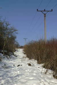 冬天的雪景和森林