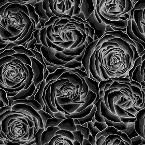 美丽的单色，黑色和白色无缝背景与玫瑰