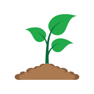 在地上发芽插画