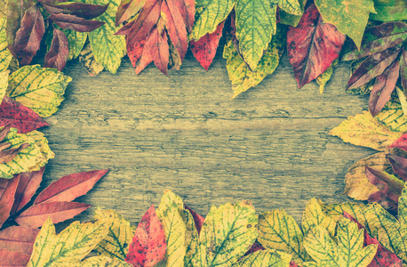 多彩的秋天壁纸，落叶木背景边框