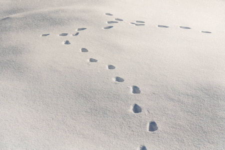 纯白色的雪