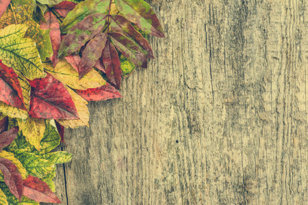 秋天的落叶，在木制的背景下，秋天壁纸