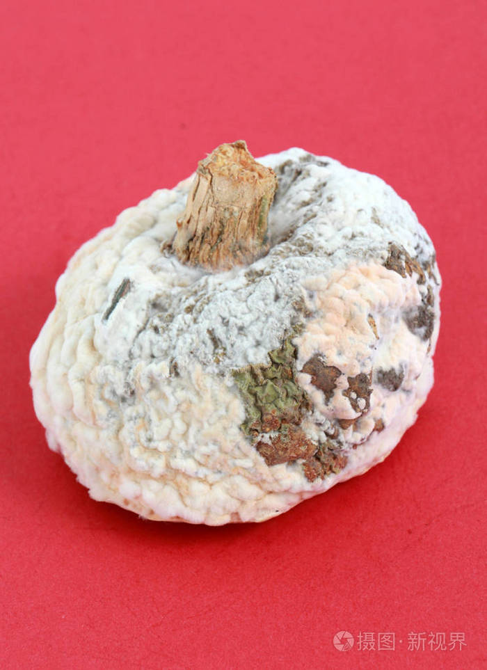 一个烂的南瓜的形象