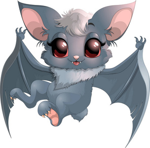 美丽的小蝙蝠照片