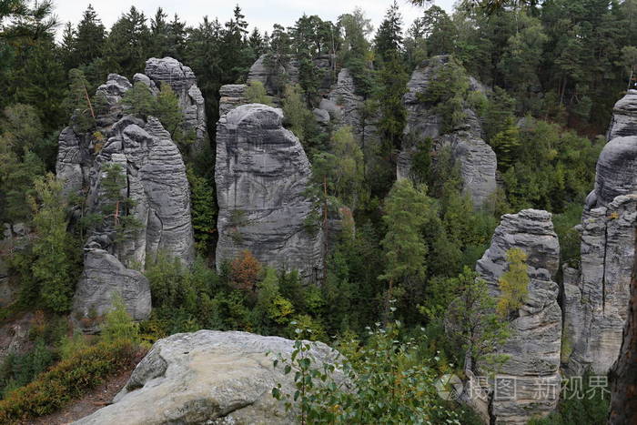 灰色高沙子石头在树之间