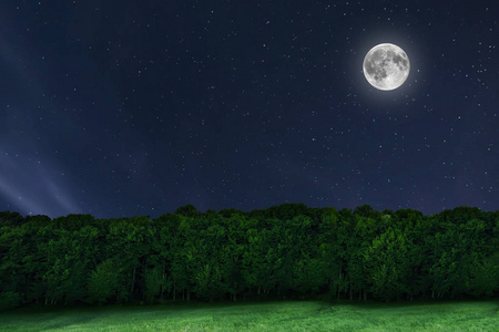 夜晚的天空森林背景与月亮和星星。满月