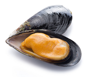 贻贝在白色背景上照片