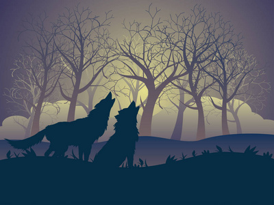 在夜晚的森林中嗥叫的狼