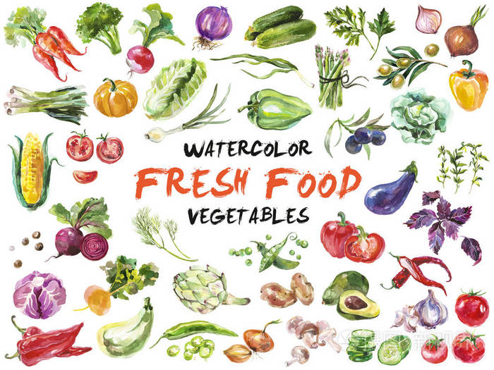 水彩画蔬菜上白色孤立