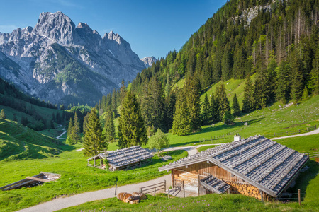 传统的山地小木屋在阿尔卑斯山的夏天