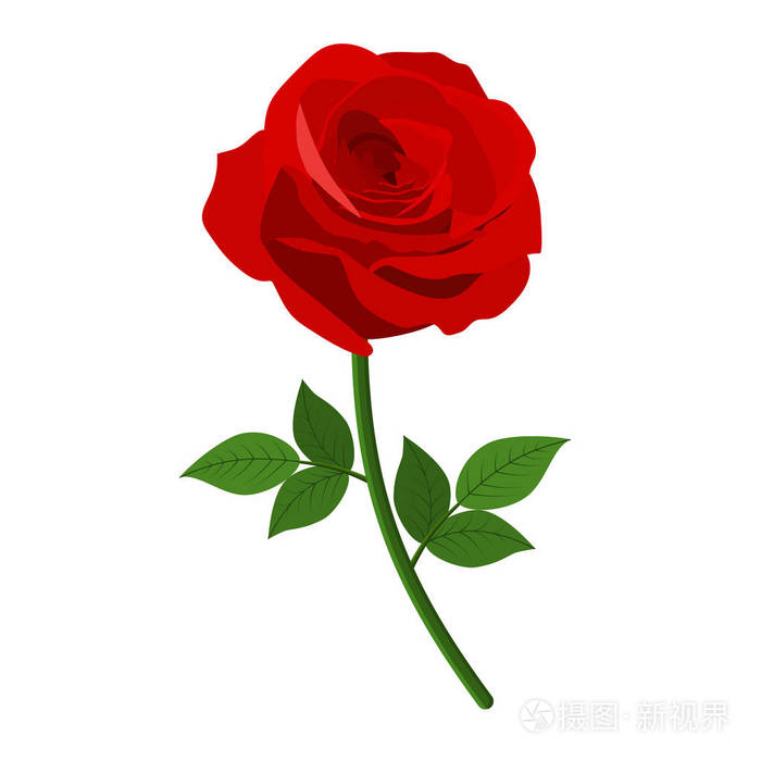 红玫瑰图标
