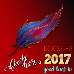 公鸡羽毛的好运气。中国新年的 2017年符号。书法刻字手绘彩色羽毛红色背景上。矢量图