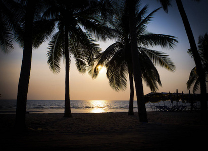 海滩椰子树剪影