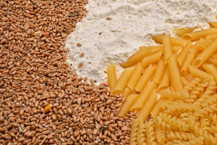 不同原料通心粉 小麦和白面粉。原料和