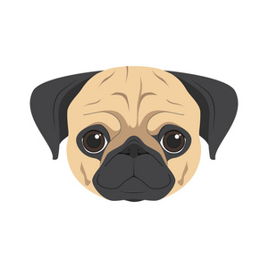 白色背景矢量图上孤立的 pug