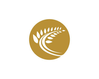 颜色乡村的不好的矢量现实主义风格海报, 网站或横幅模板与插图麦片在