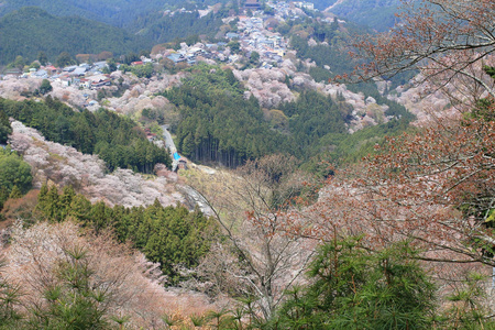 吉野水分神社，Yoshinoyama，奈良，日本