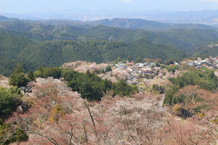 吉野水分神社，Yoshinoyama，奈良，日本