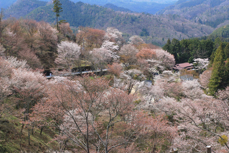 吉野水分神社，Yoshinoyama，奈良，日本