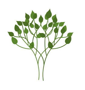 叶子植物装饰图标