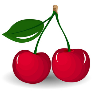 矢量图的白色背景上成熟的樱桃.绿色的叶子和茎的浆果照片