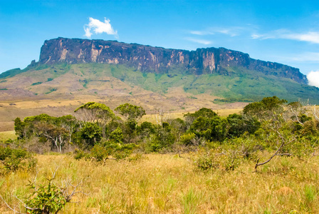 罗赖马 Tepui，格兰萨瓦纳委内瑞拉