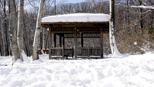 森林中的雪和木亭景观