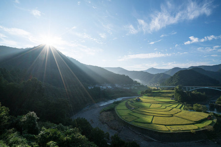 Aragishima 水稻梯田，和歌山县，日本