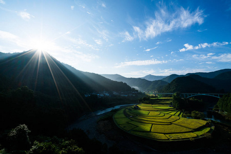 Aragishima 水稻梯田，和歌山县，日本