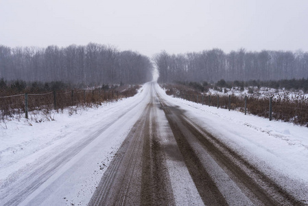 道路通过农田和雪景观附近阿维，印第安纳州，美国