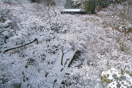 东福寺雪场景，京都，旅游的日本 Tutenkyo 桥