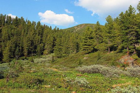 湖位于内华达山脉山里的旅行者杜斯阿林俄罗斯远东哈巴罗夫斯克地区