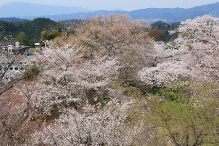 吉野水分神社，Yoshinoyama，奈良，日本