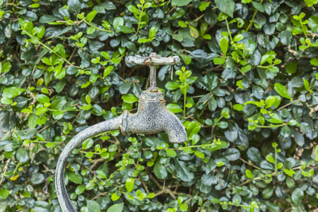 水龙头概念装饰可重用背景叶