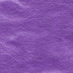 紫罗兰色皮革纹理作为背景设计作品