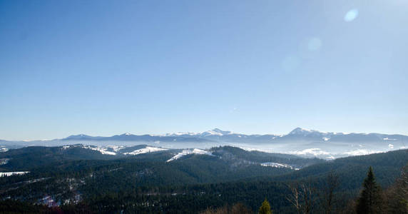 山雪云杉 Bukovel