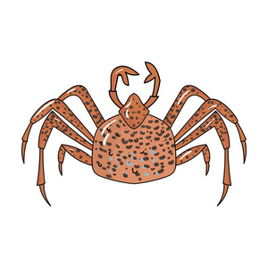 帝王蟹在白色背景上孤立的卡通风格的图标。海洋动物符号股票矢量图
