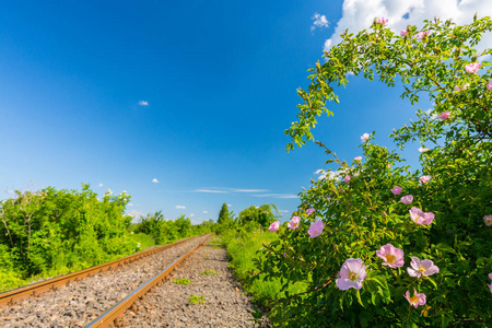 在遥远的农村地区的风景铁路在春天, 在东欧