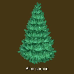 像没有节日装饰品，圣诞常绿植物的新年庆祝活动的蓝色云杉圣诞树矢量